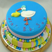 Baby Shower Cake - 2 Tier Stork 